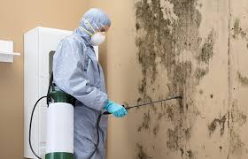 Best Asbestos and Lead Testing During Mold Inspection  in Vandenberg Village, CA